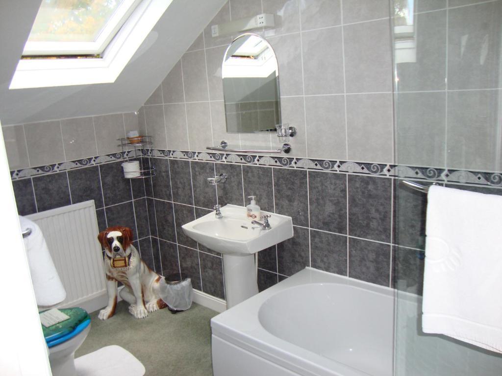 Sherwood Hotel - B&B Harrogate Eksteriør bilde